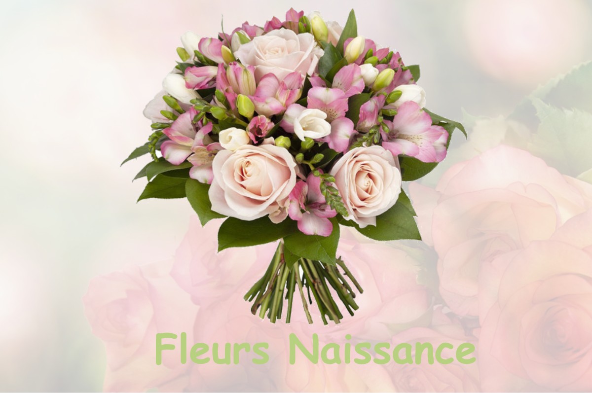 fleurs naissance SALAGNON