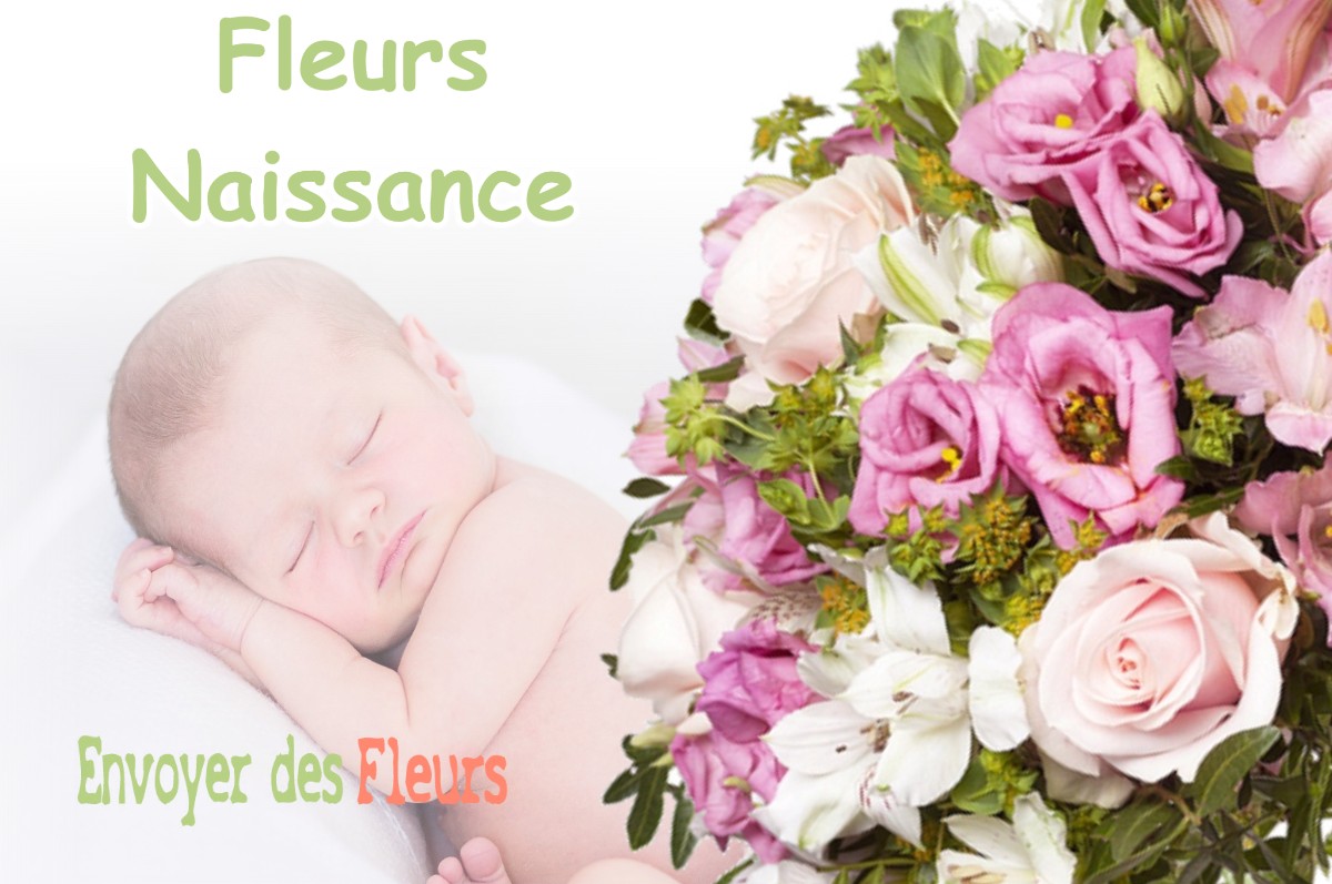 lIVRAISON FLEURS NAISSANCE à SALAGNON